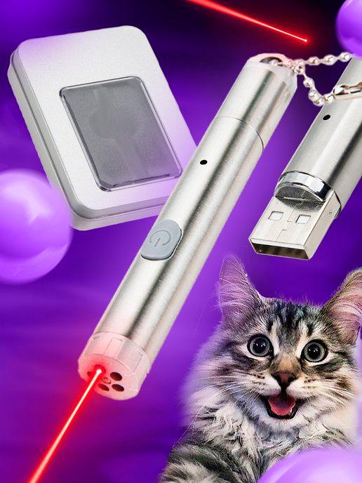 Лазерная указка для кошек и собак с USB зарядкой