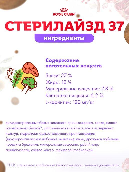 https://basket-15.wbbasket.ru/vol2304/part230464/230464607/images/c516x688/5.jpg?r=2024-8-7