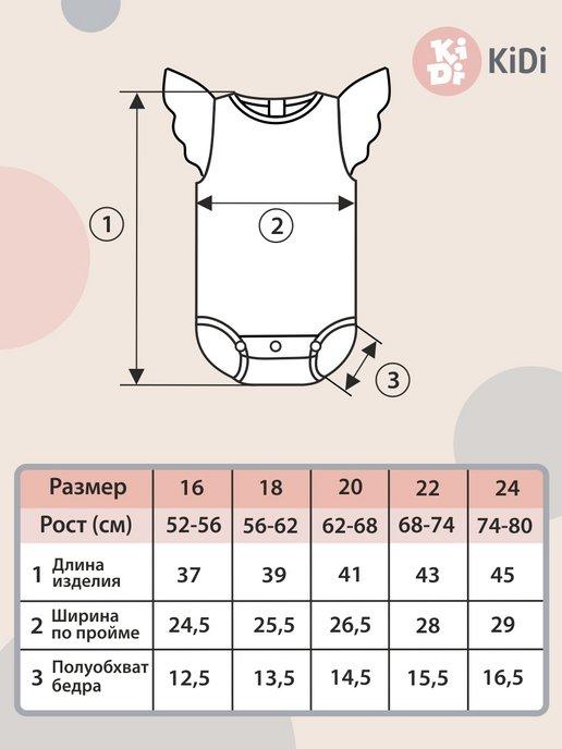 https://basket-15.wbbasket.ru/vol2305/part230592/230592539/images/c516x688/4.jpg?r=2024-8-15