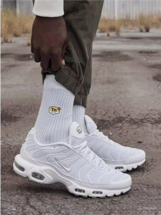 Кроссовки спортивные Nike Air Max Plus TN для бега