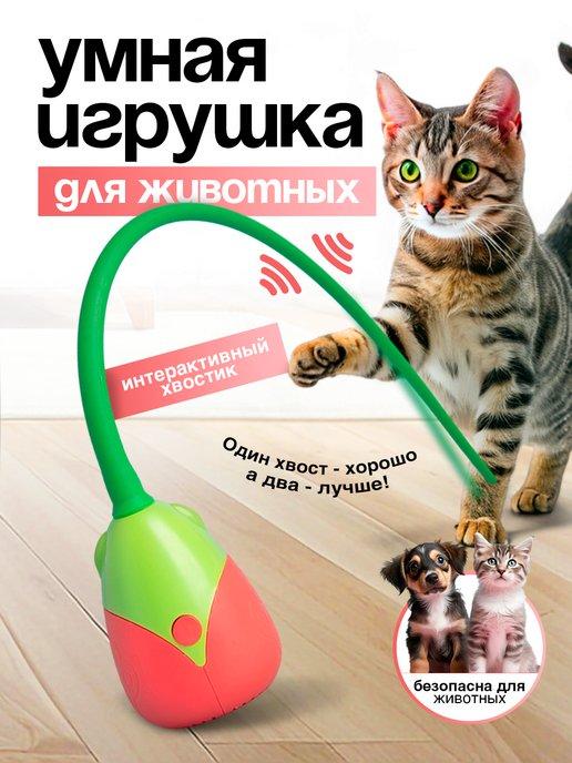 Игрушка для кошек и собак интерактивная умная дразнилка