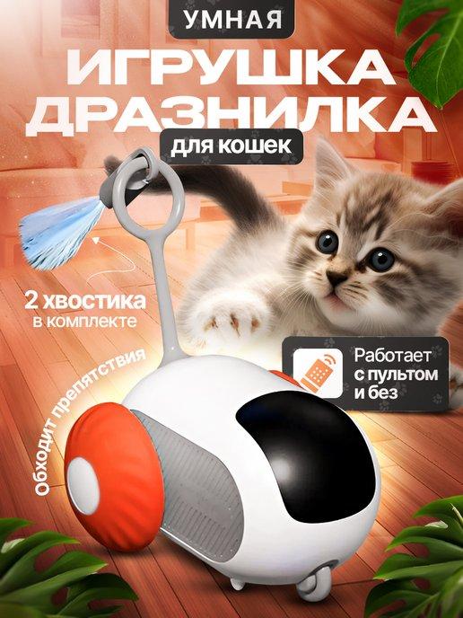 Игрушка для кошек дразнилка интерактивная