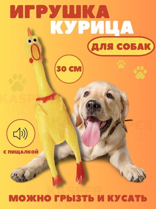 Игрушка для собак курица