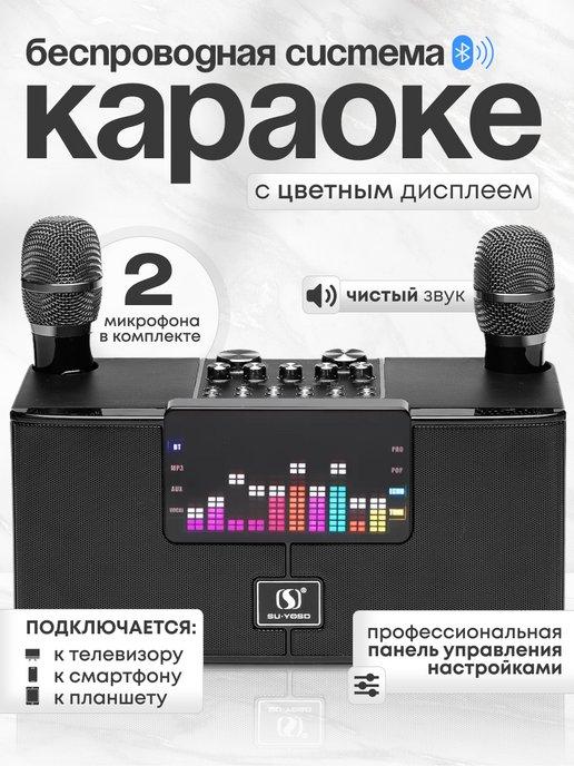 SmartHome | Караоке система с двумя микрофонами