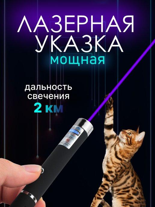 Лазерная указка игрушка для кошек и собак