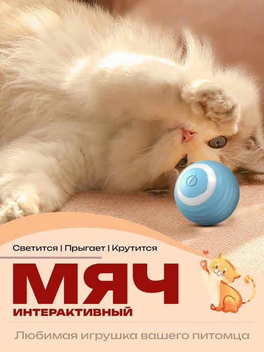 Игрушка для кошек и собак - интерактивный мяч