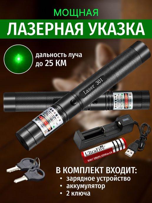 Лазерная указка игрушка для кошек и собак