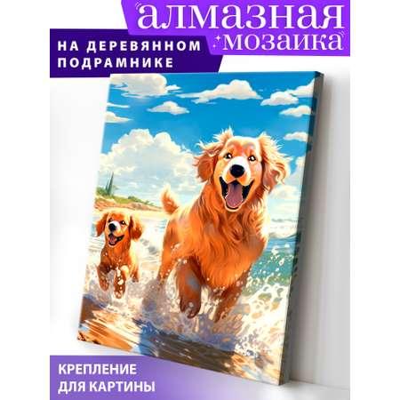 Алмазная мозаика Art on Canvas холст на деревянном подрамнике 40х50 см Игры на пляже