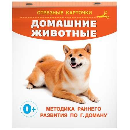 Книга карточки для малышей Домашние животные