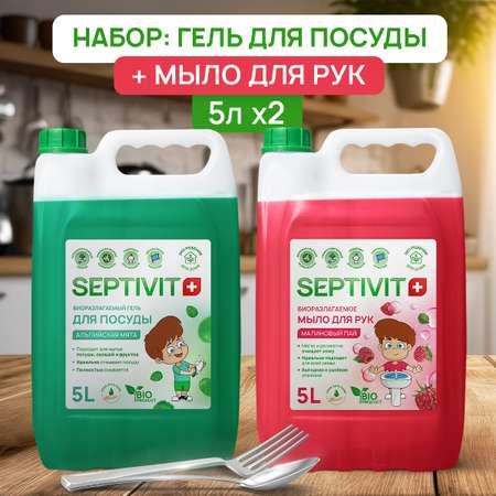 Набор SEPTIVIT Premium гель для мытья посуды Альпийская мята 5л и жидкое мыло для рук Малиновый пай