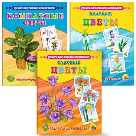 Проф-Пресс | Комплект обучающих карточек Проф-Пресс Комнатные цветы+Полевые+Садовые