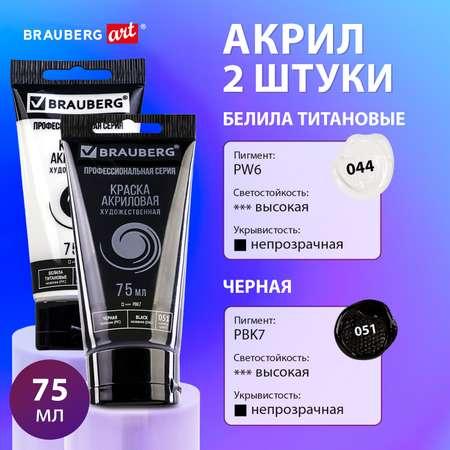 Краски акриловые Brauberg набор художественные белые черные глянцевые 2 штуки в тюбиках