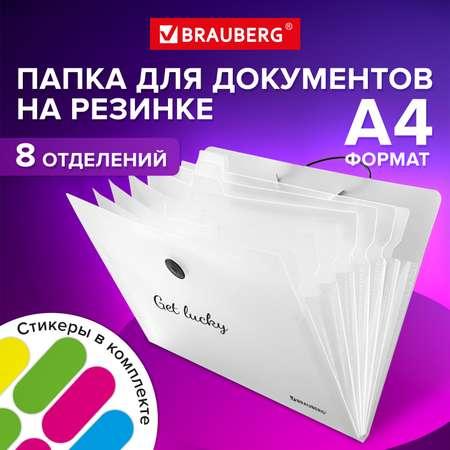 Папка Brauberg для документов А4 на резинке канцелярская 8 отделений