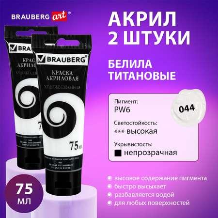 Краски акриловые Brauberg набор художественные белые 2 шт в тюбиках