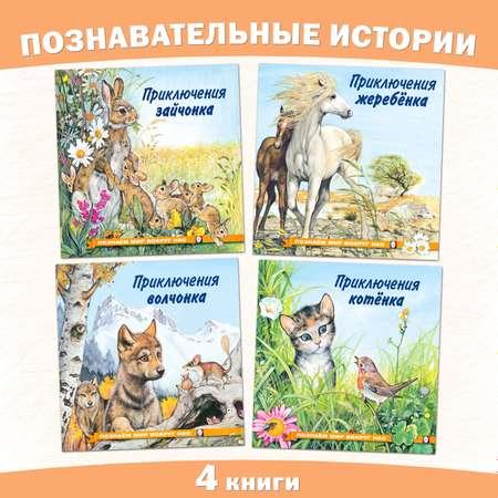 Комплект книг Фламинго Сказки для детей Рассказы о животных Приключения Котенка Волчонка Зайчонка Жеребенка