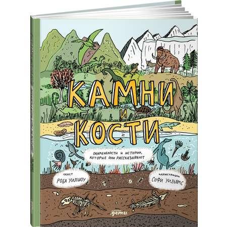 Книга Альпина. Дети Камни и кости : Окаменелости и истории