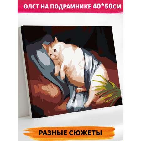 Картина по номерам Hobby Paint Грустный котик 40х50 см