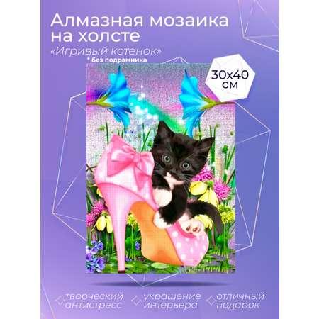 Solmax | Алмазная мозаика на холсте Solmax Игривый котенок 30 x 40 см CP54048