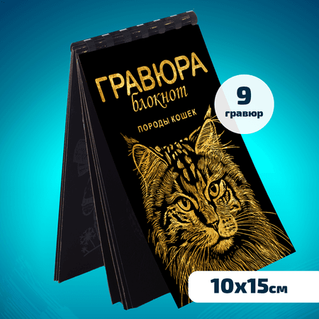 Набор для творчества LORI(колорит) Гравюра блокнот из 9 листов Породы кошек 10х15 см