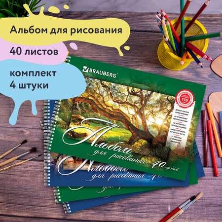 Альбом для рисования Brauberg 2 шт. Природа