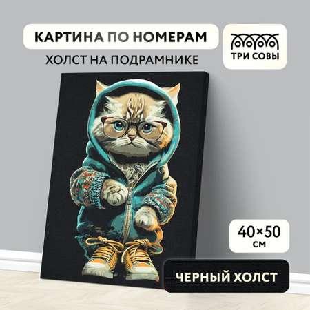Картина по номерам ТРИ СОВЫ на черном холсте Стильный кот
