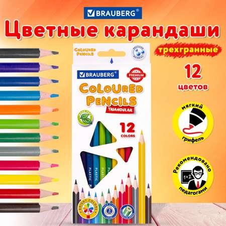 Карандаши цветные Brauberg для рисования набор 12 цветов для детей художественные