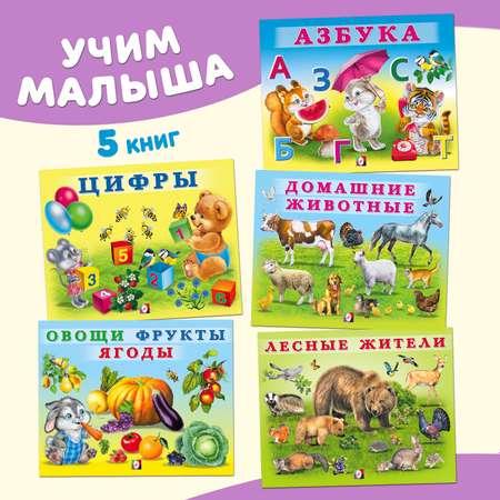 Книги Фламинго Учим малыша: буквы цифры животные растения Первые знания для детей и малышей 5 книг