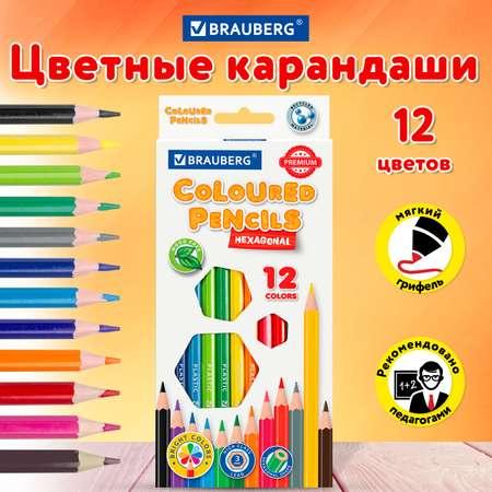 Карандаши цветные Brauberg для рисования набор 12 шт для детей художественные