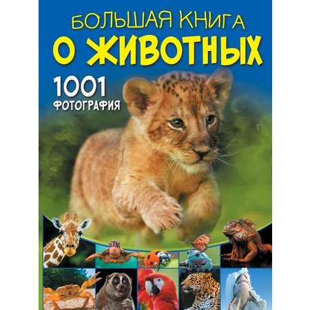 Книга АСТ Большая книга о животных. 1001 фотография