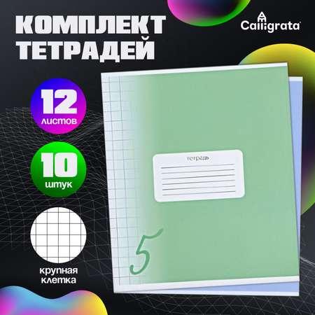 Комплект тетрадей Calligrata в клетку Пятерка 12 листов 10 шт