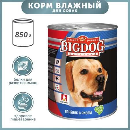 Корм для собак Зоогурман Big Dog 850г ягненок с рисом ж/б