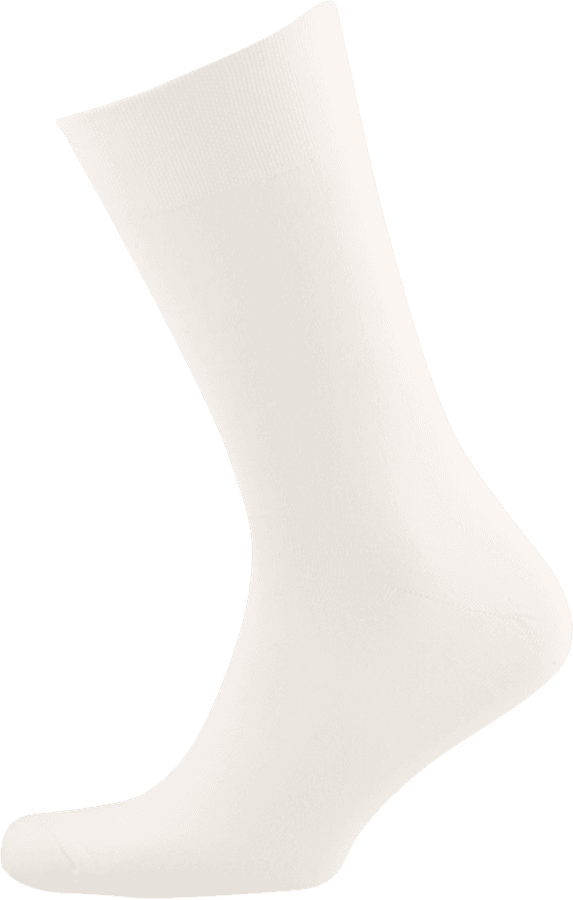 Носки мужские INWIN р. 25 (38–40) белые, Арт. BMS04-06