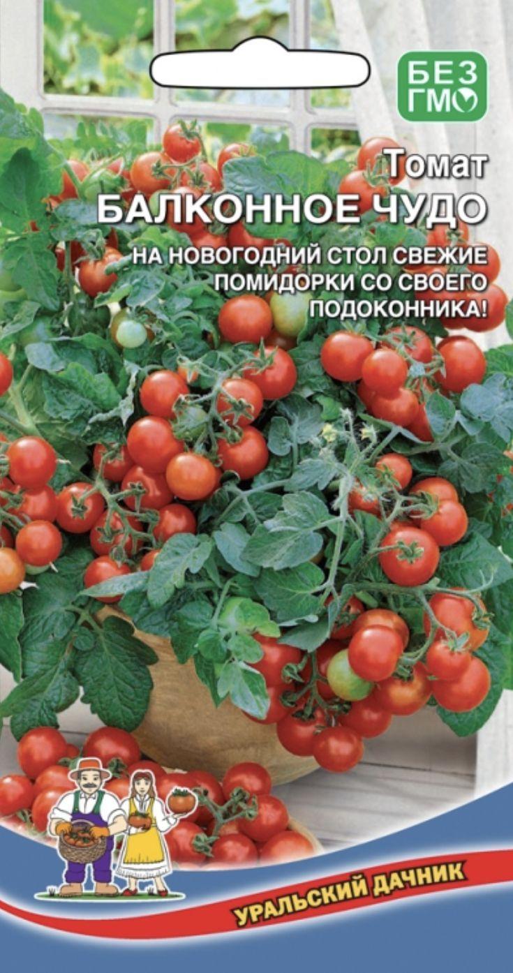 Томат БАЛКОННОЕ ЧУДО (Красное), 1 пакет, семена 20 шт, Уральский Дачник, для комнатного выращивания