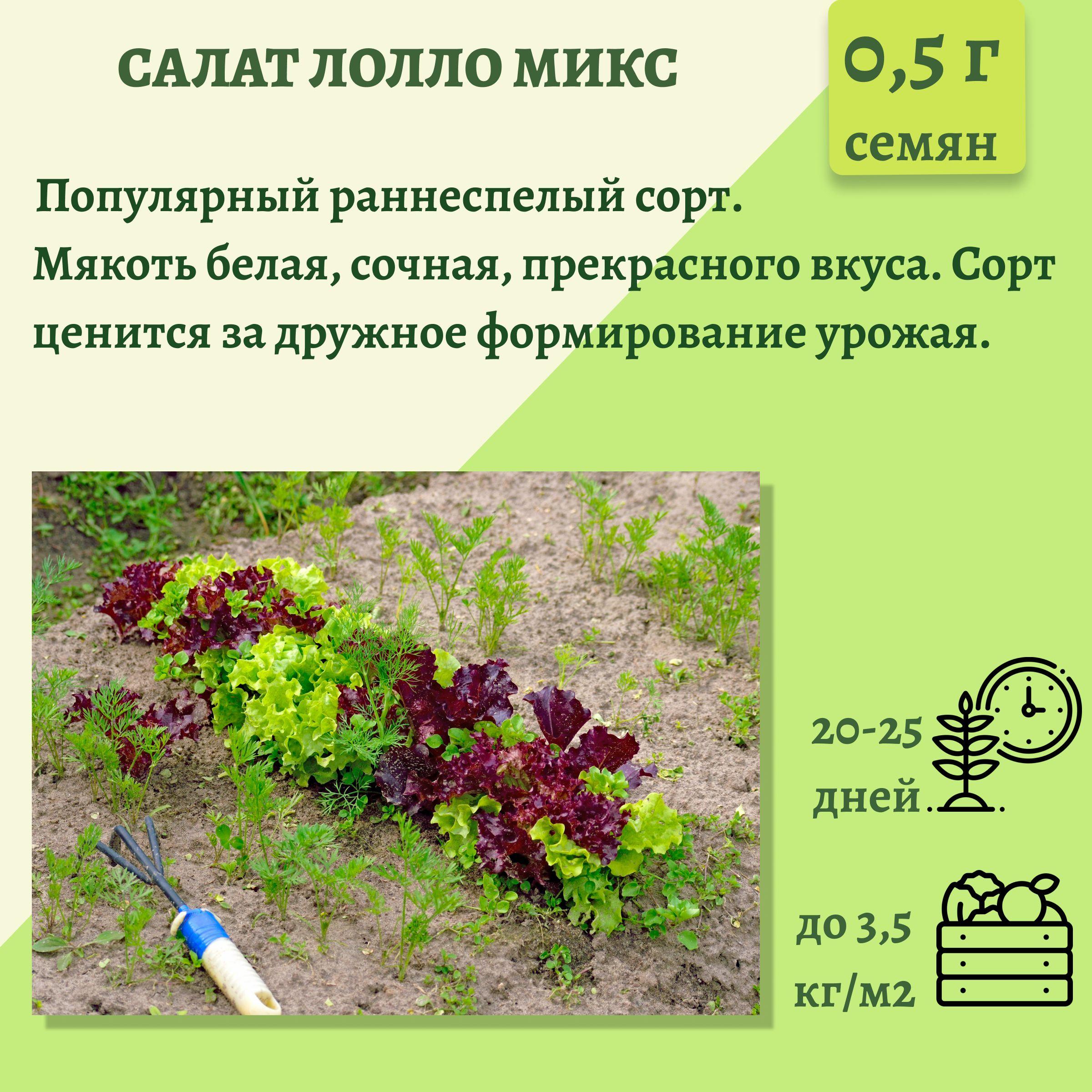 https://cdn1.ozone.ru/s3/multimedia-0/6862406076.jpg