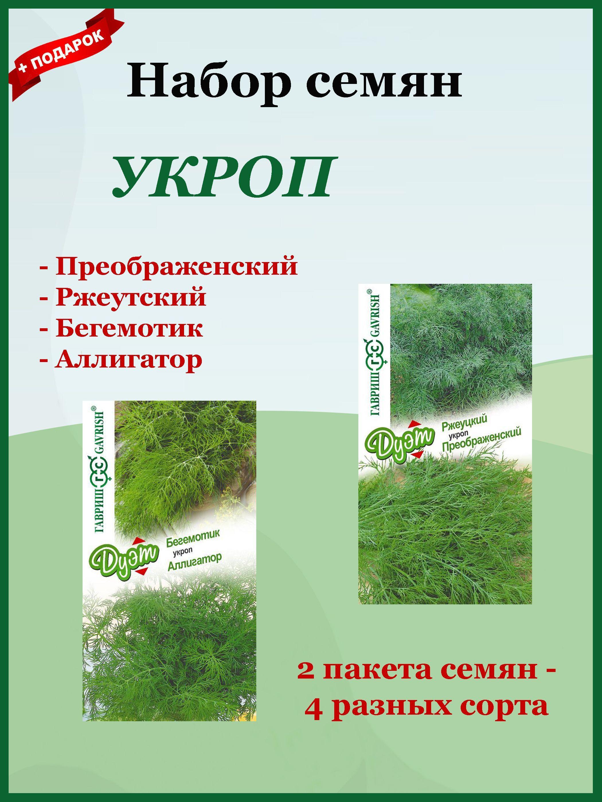 Семена Укропа 4 шт. Набор Аллигатор, Бегемотик, Преображенский, Ржеуцкий (Гавриш)