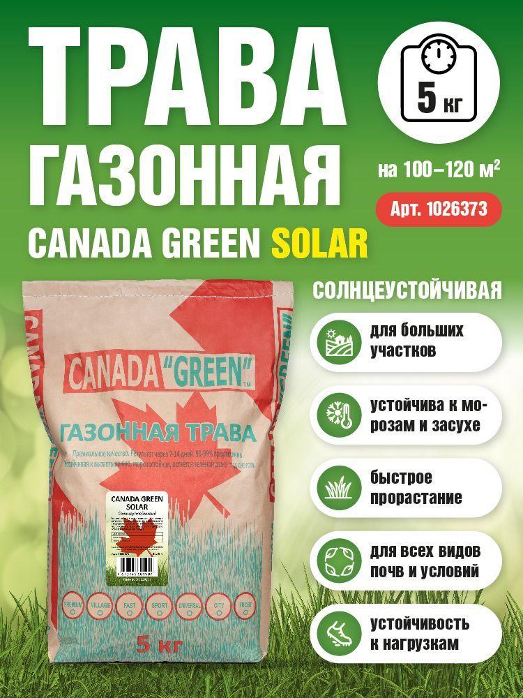 Canada Green | Газонная трава семена Канада Грин Солнцеустойчивая 5кг / Canada Green Solar 5 кг