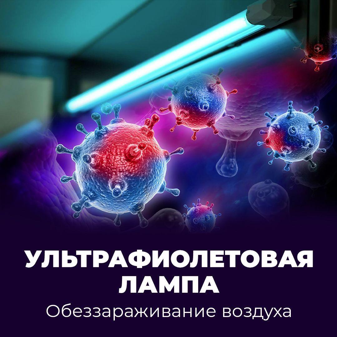 https://cdn1.ozone.ru/s3/multimedia-1/6756919093.jpg