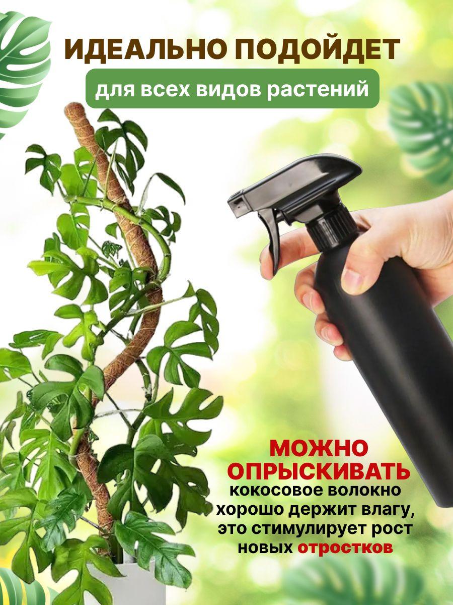 https://cdn1.ozone.ru/s3/multimedia-1-0/6920002116.jpg