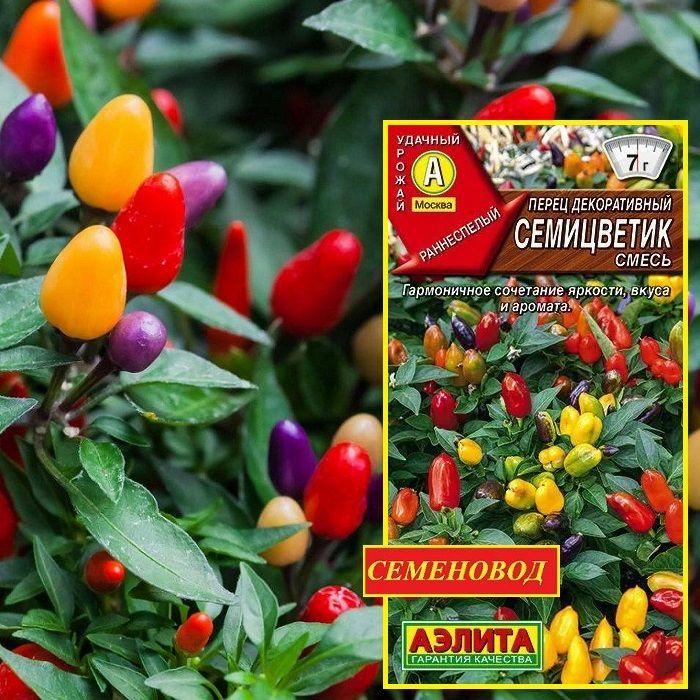 Перец декоративный СЕМИЦВЕТИК, смесь - Сочетание яркости, вкуса и аромата! / Семена 20 шт. - Агрофирма АЭЛИТА