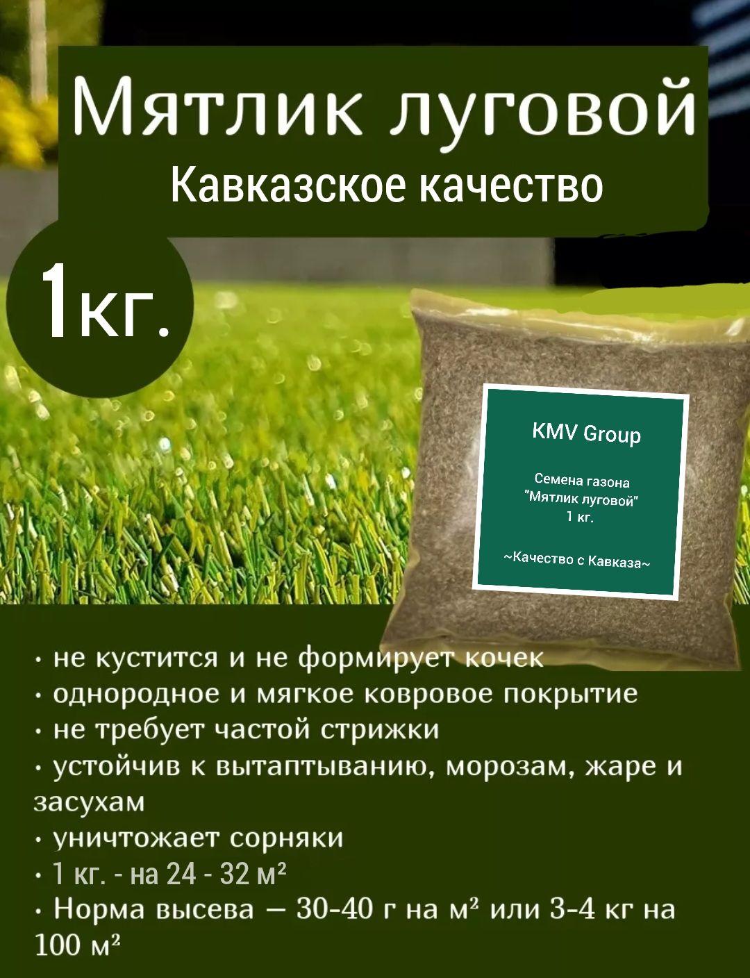 Газон 100% Мятлик луговой сорта Balin 1 кг. семена газонной травы / Кавказское качество / KMV Group