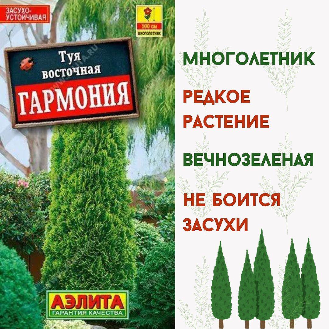 Семена туи для сада, Туя восточная Гармония семена 8г, Агрофирма Аэлита