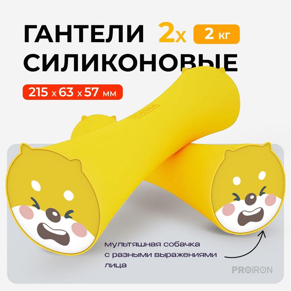 Гантели детские 2 кг 2 шт, PROIRON, силиконовые