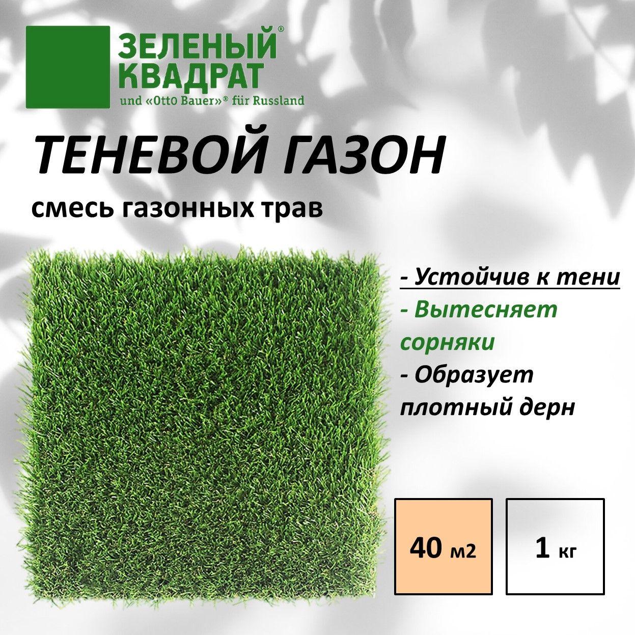 Зеленый Квадрат | Семена газона Зеленый Квадрат ТЕНЕВОЙ 1 кг, для создания газона на затененных участках