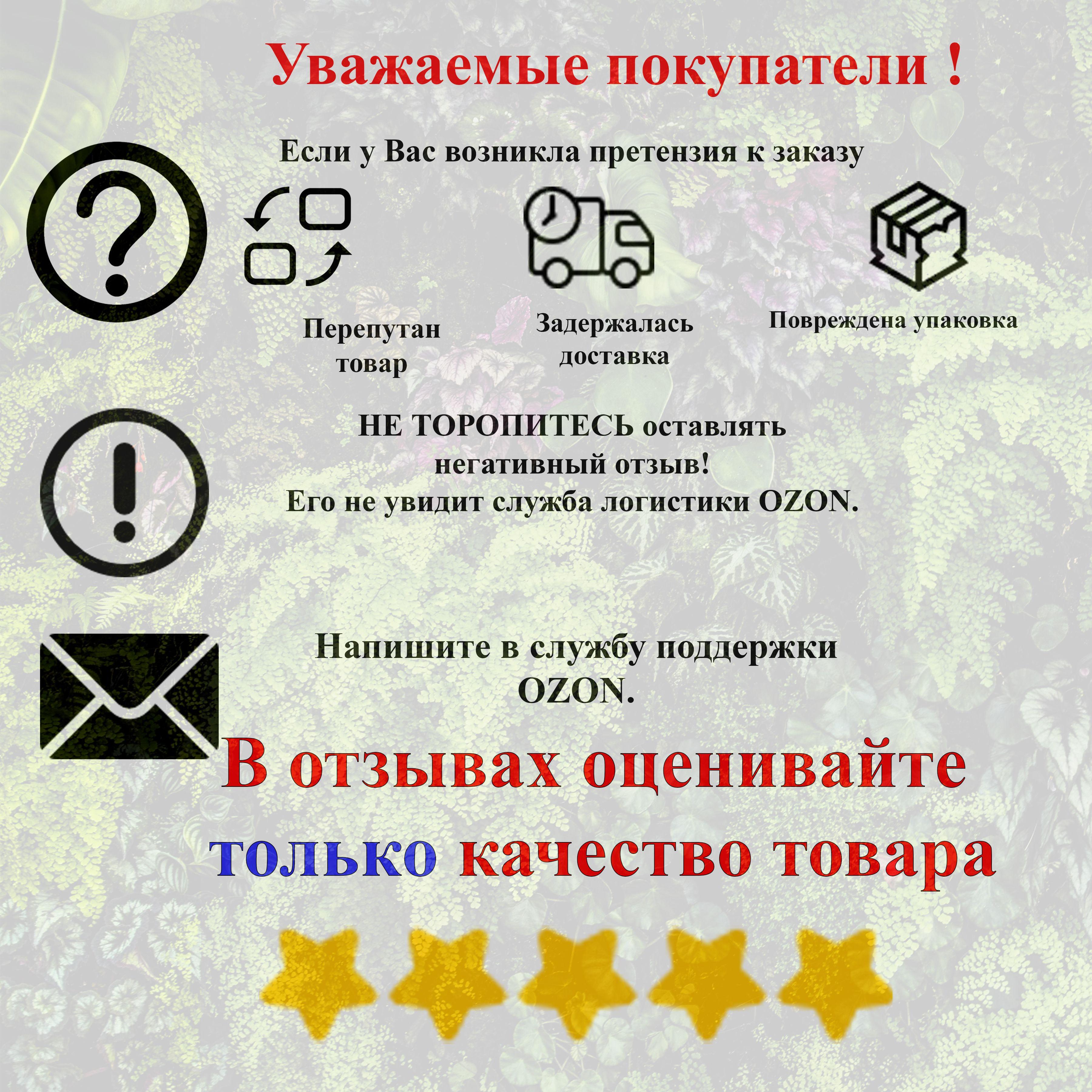 https://cdn1.ozone.ru/s3/multimedia-1-s/6975008776.jpg