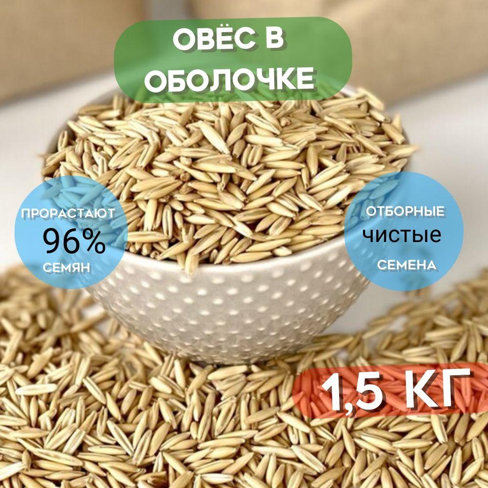 Овес в оболочке для заваривания, отваров и настоя, для проращивания 1,5 кг