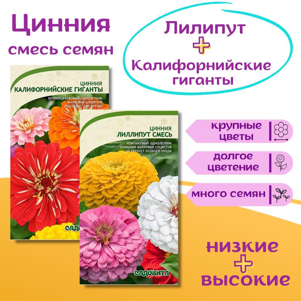 Цинния кустовая Лилипут и Калифорнийский гигант, семена смесь по 0.4 г