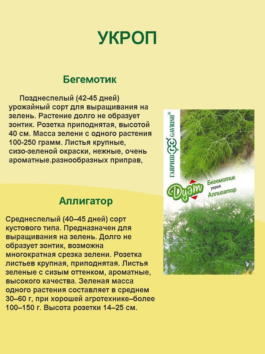 https://cdn1.ozone.ru/s3/multimedia-5/6694038257.jpg