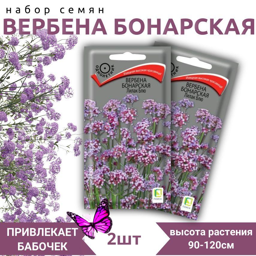 ПОИСК Агрохолдинг | Набор семян Вербена Бонарская Лилак блю, 2 пачки