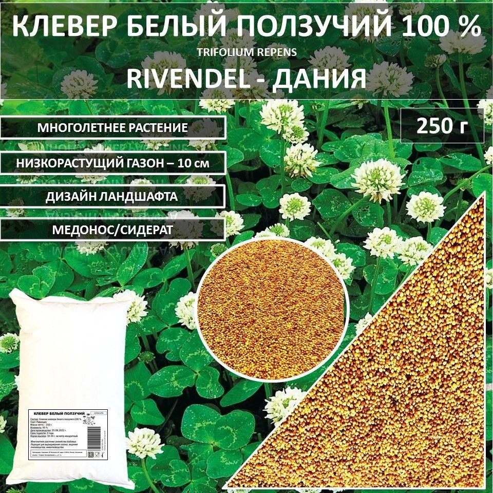 Газон 100 % Клевер белый Rivendel DlF Ривендел ДЛФ Ривендел 250 г газонная трава семена