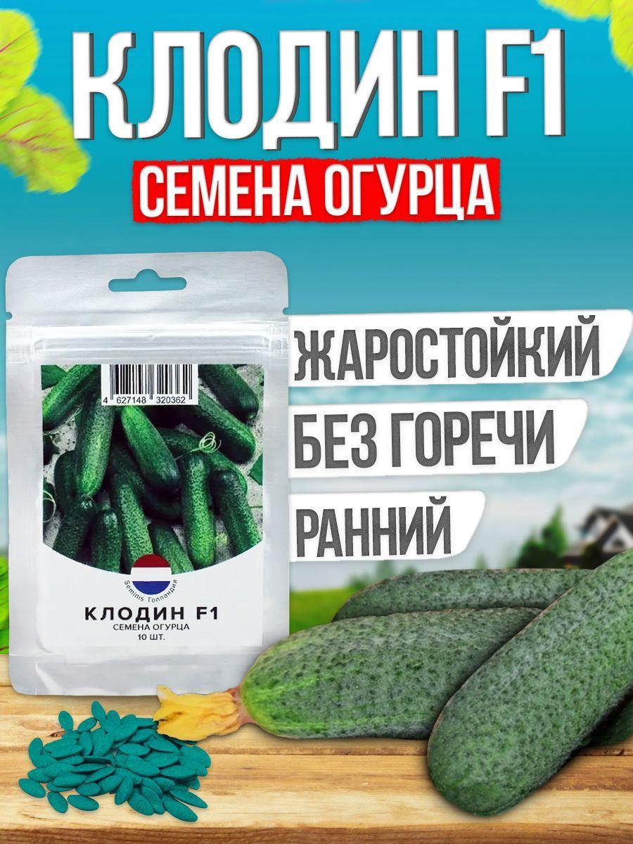 Клодин F1 семена огурца раннего, 10 шт. (Seminis / ALEXAGRO). Высокоурожайный, партенокарпический гибрид для открытого и защищенного грунта